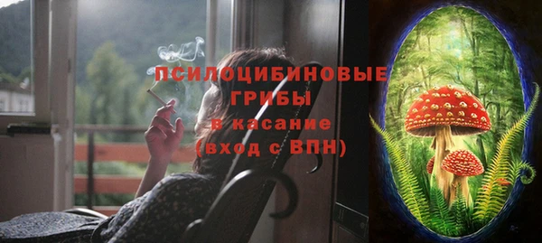 Альфа ПВП Елабуга