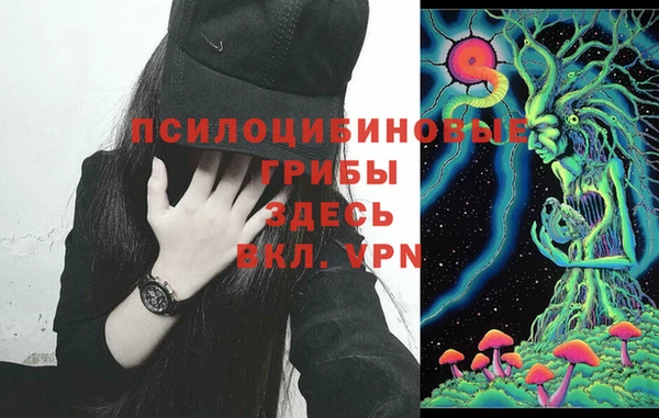 Альфа ПВП Елабуга