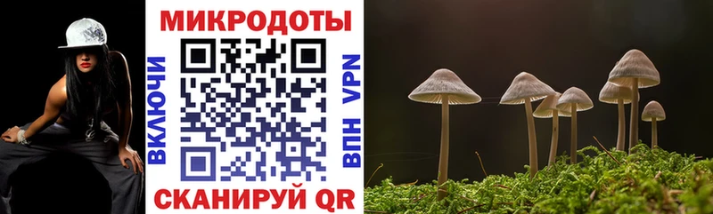 Галлюциногенные грибы GOLDEN TEACHER  hydra ТОР  Задонск  наркота 
